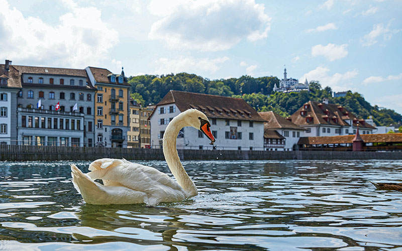 Lucerne Lake Switzerland