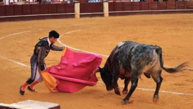 bull fight spain