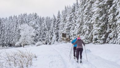 skiing in Austria