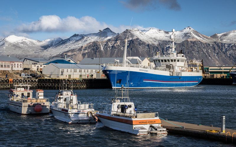 Harbour at Hofn With snow covered mountains around it.