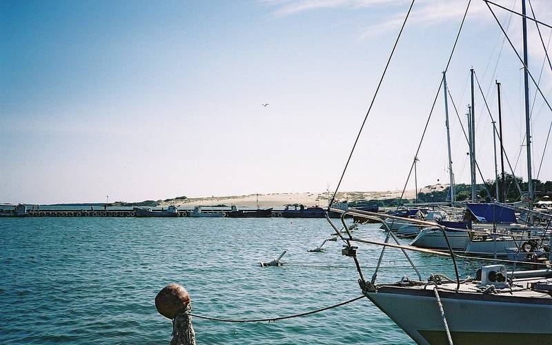 View of a water body under clear sky with boats tied along the shore at Curonian Spit in Lithuania.