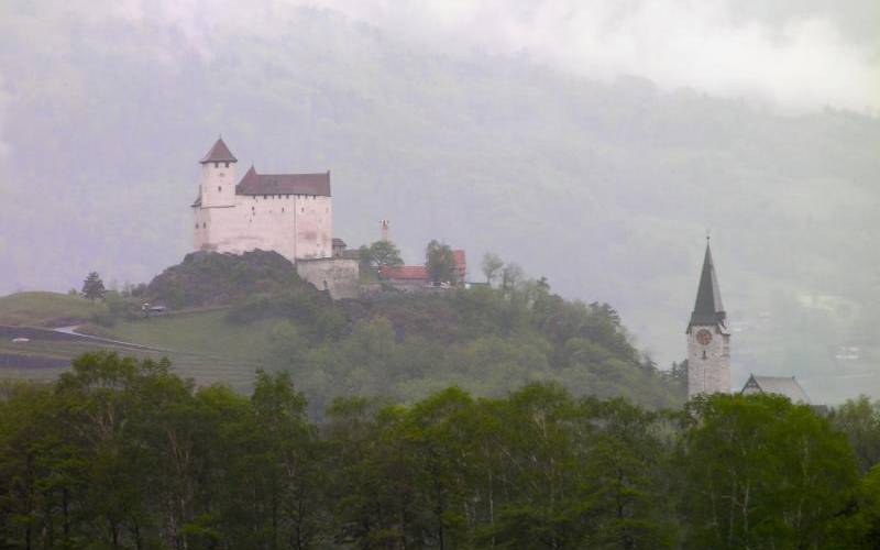 A castle on the hills of Burg Gutenburg.