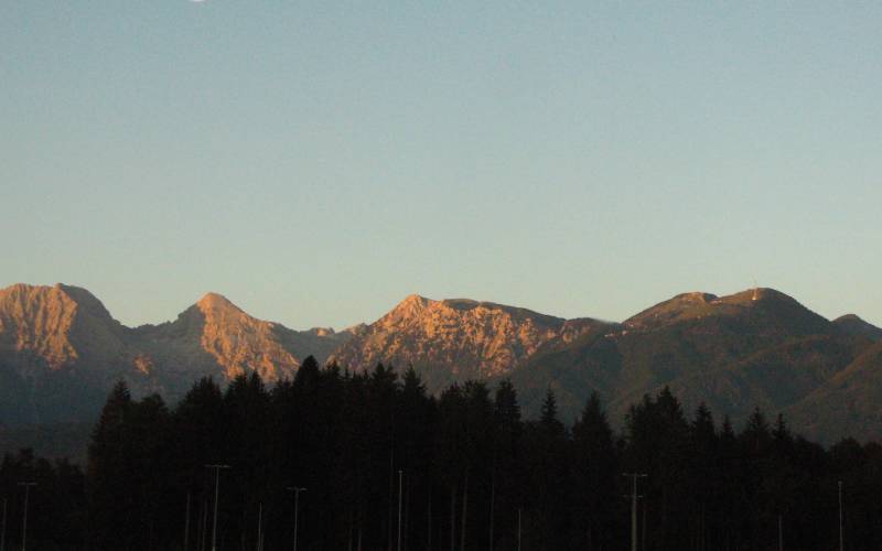 View of Kamnik Savinja Alps with huge trees all around.