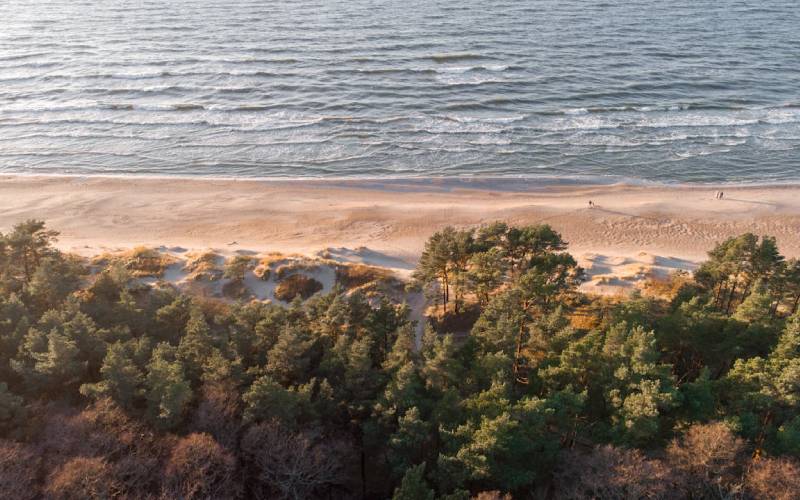 View of a beach in Palanga with trees around the shore.