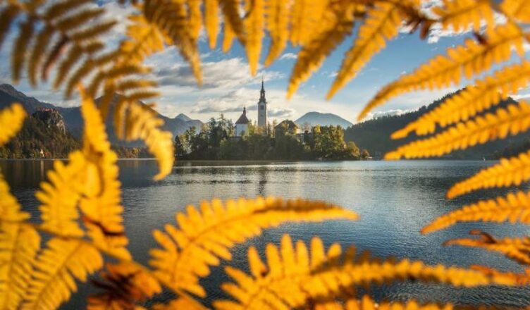 Building On An Island in Slovenia.