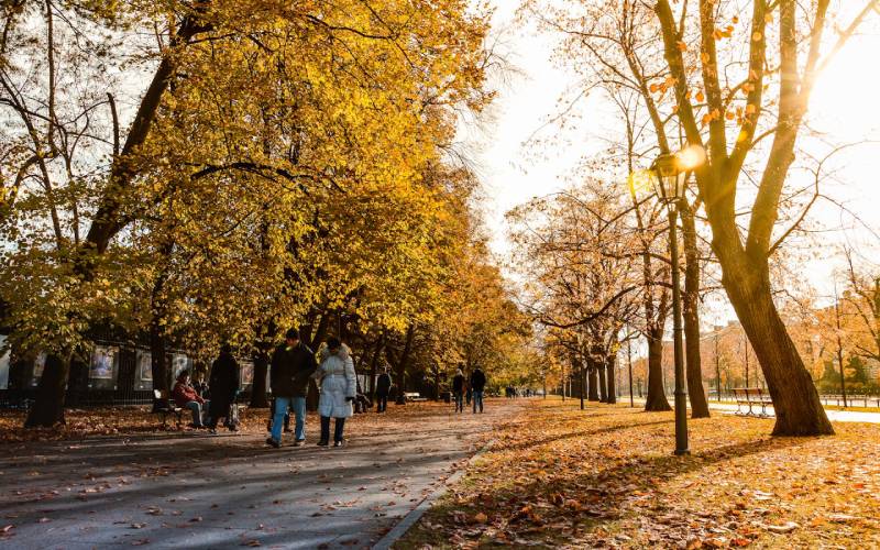 People Walking on Gray Concrete Pathway Between Trees during Daytime in Warsaw, Poland